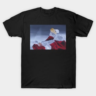 Santa claus T-Shirt